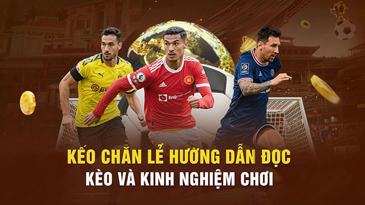 Tin Tức: AV88 Tin Tức: Hướng Dẫn Người Mới Phân Biệt Thông Báo Và Nội Dung Quảng Bá